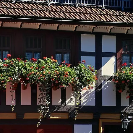 Guest house Machold *