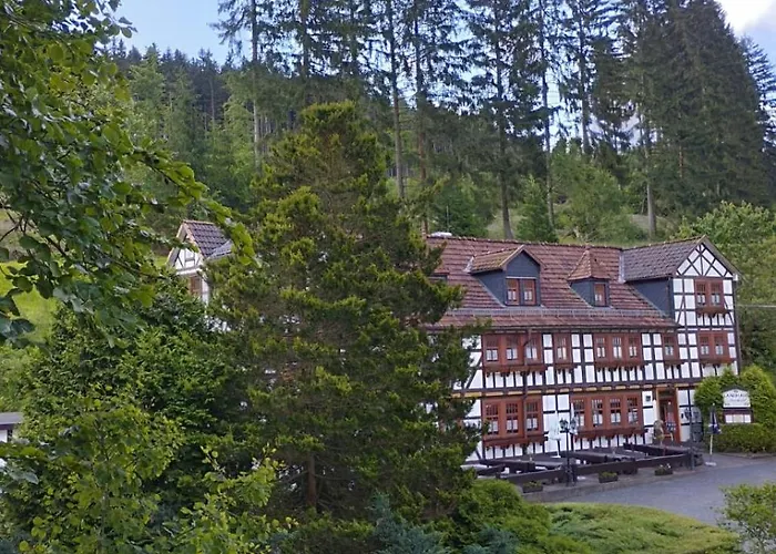 Machold Gasthof Friedrichroda